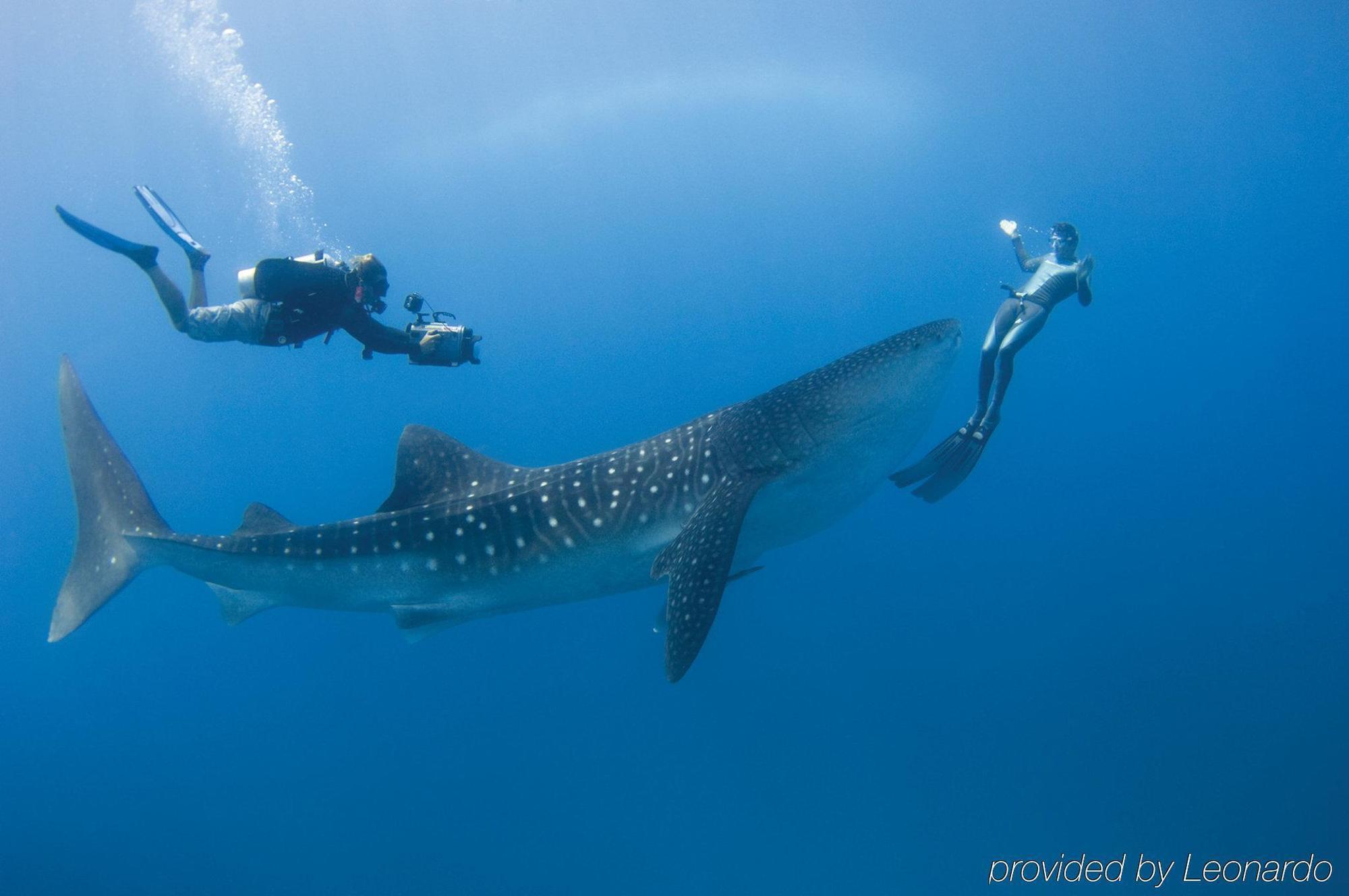 Four Seasons Resort Maldives At Landaa Giraavaru Milaidhoo Esterno foto