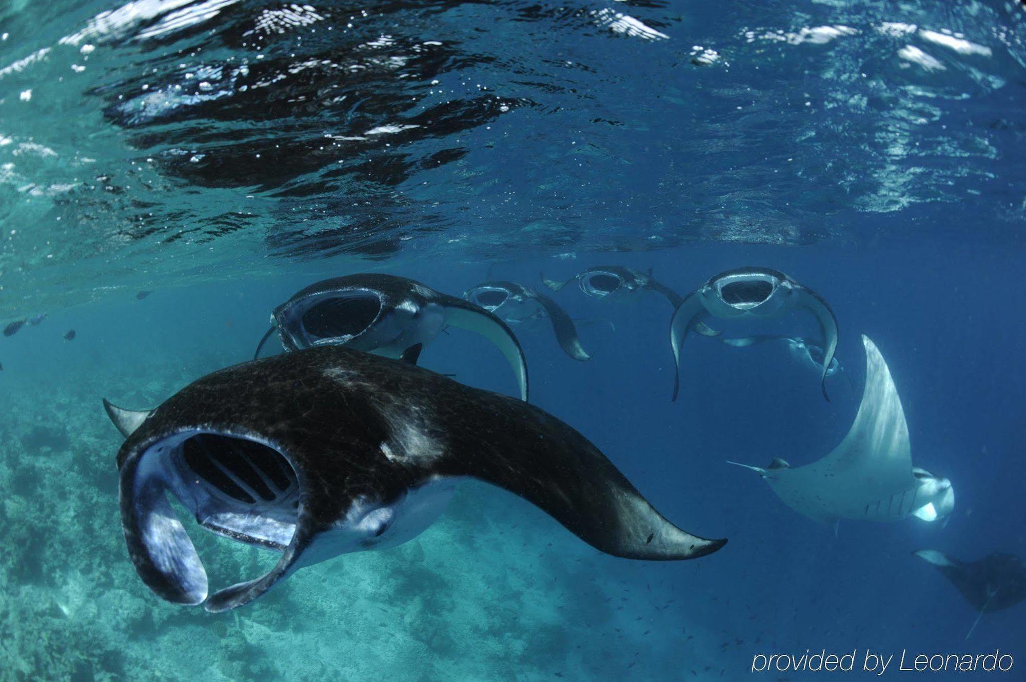 Four Seasons Resort Maldives At Landaa Giraavaru Milaidhoo Esterno foto